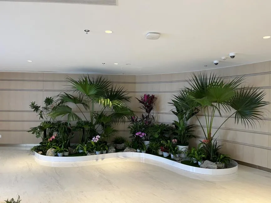 花卉租摆选奉化，贴心服务，为你打造梦幻花卉空间！